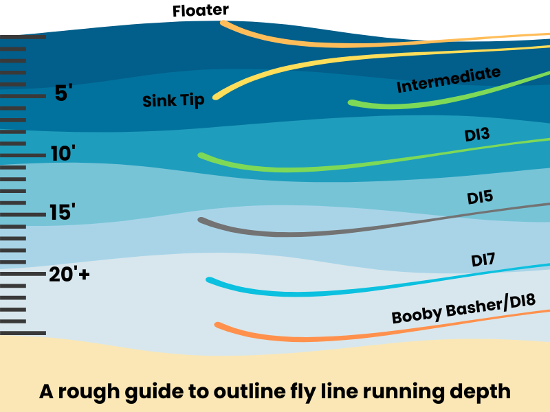 fly-line-infographic
