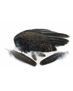 Veniard Grouse Whole Wings Feathers - Wet Trout Fly Tying