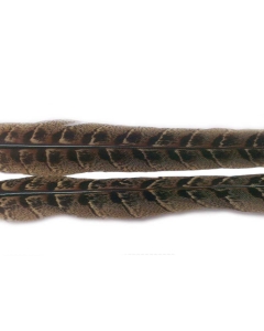 Veniard Pheasant Hen Centre Tail Feathers - Wet Trout Fly Tying