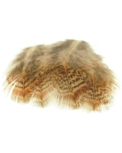 Veniard Brown Partridge Back - Angling Active