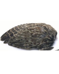 Veniard English Partridge Whole Wings - Fly Tying Feathers