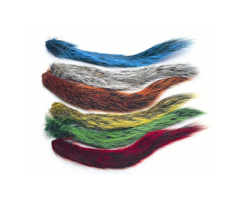 Grey Squirrel Tails