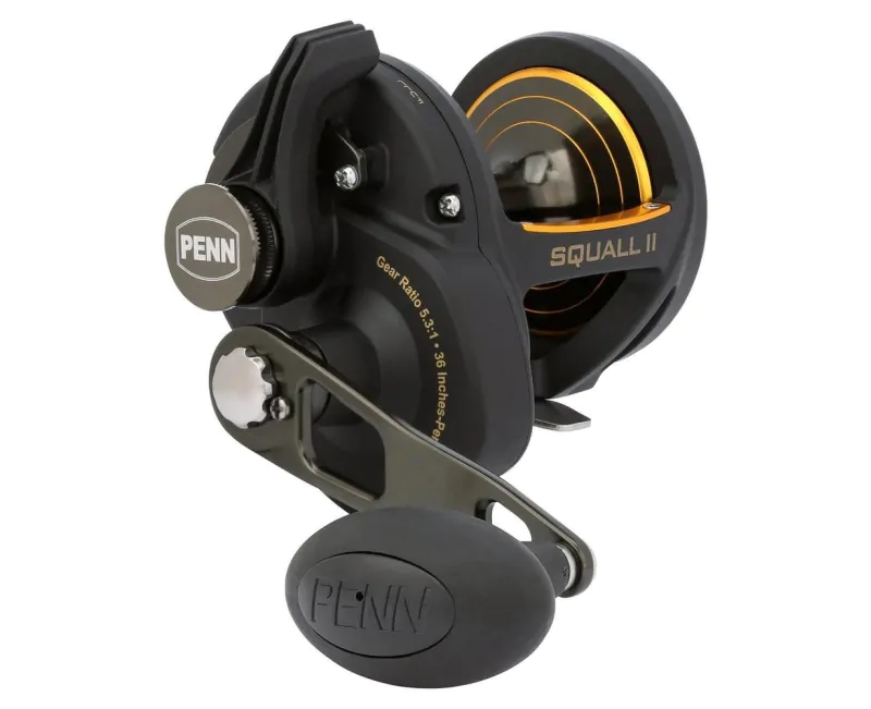 Penn Fathom II Lever Drag 2 Speed - 40NLD2 CV Reel Box Penn Fathom II 15LD2 - Reel Fun Fishing