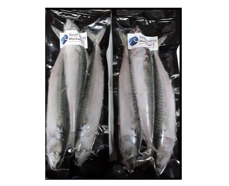 Sea Freeze Mackerel x 2 - Angling Active Sea Freeze Mackerel x 2 - Angling Active