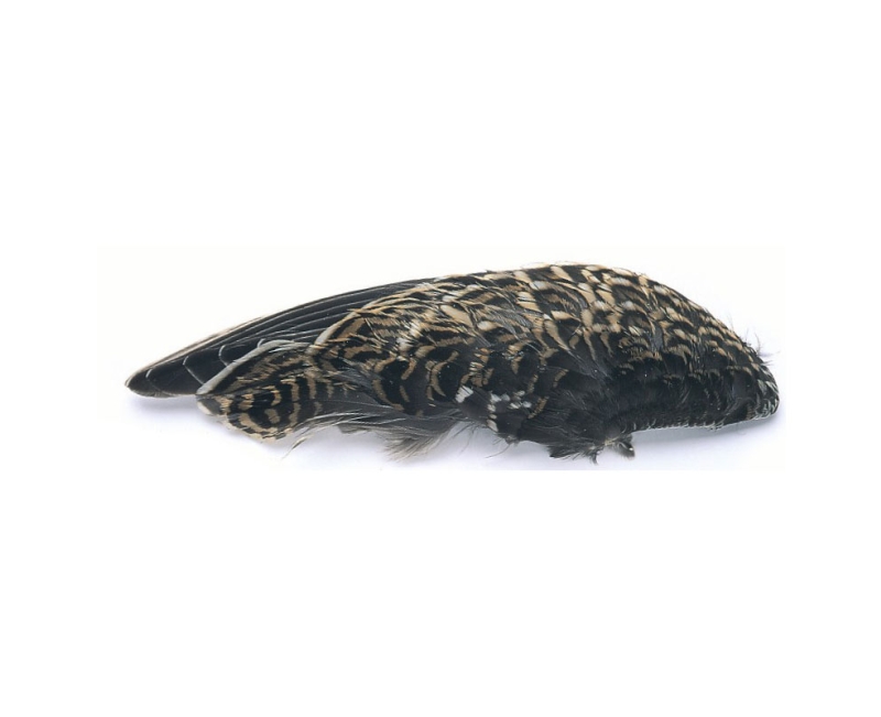 Veniard Snipe Wing Pairs - Fly Tying Feathers Veniard Snipe Wing Pairs - Fly Tying Feathers